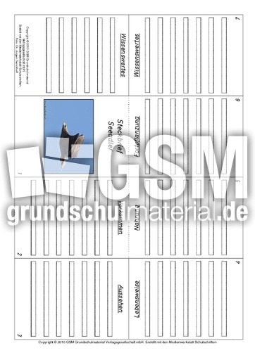 Faltbuch-Seeadler.pdf